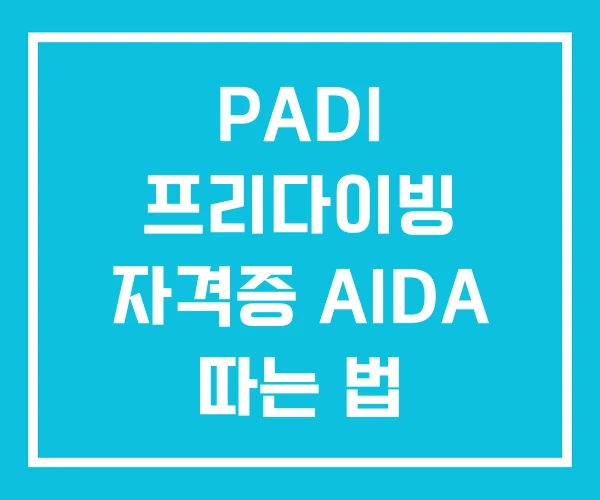 PADI 프리다이빙 자격증 AIDA 따는 법 PADI 프리다이빙 자격증 AIDA 따는 법