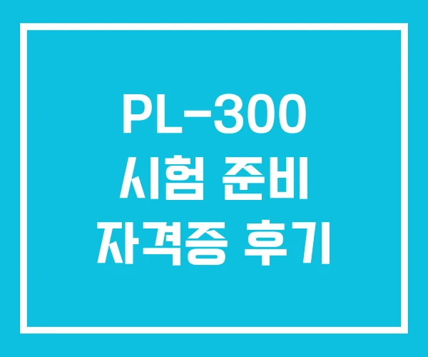 PL-300 시험 준비 자격증 후기
