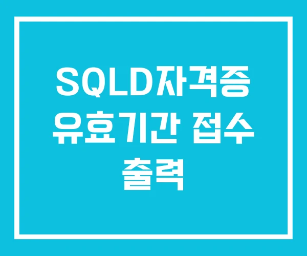 SQLD자격증 유효기간 접수 출력