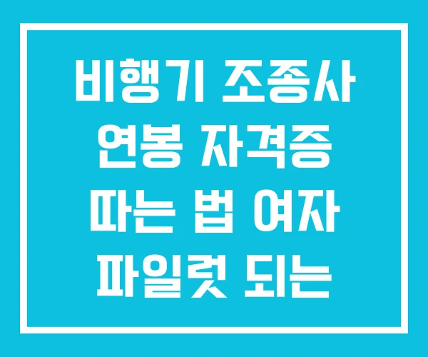 비행기 조종사 연봉 자격증 따는 법 여자 파일럿 되는