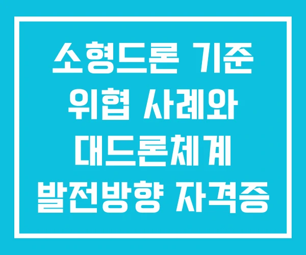 소형드론 기준 위협 사례와 대드론체계 발전방향 자격증