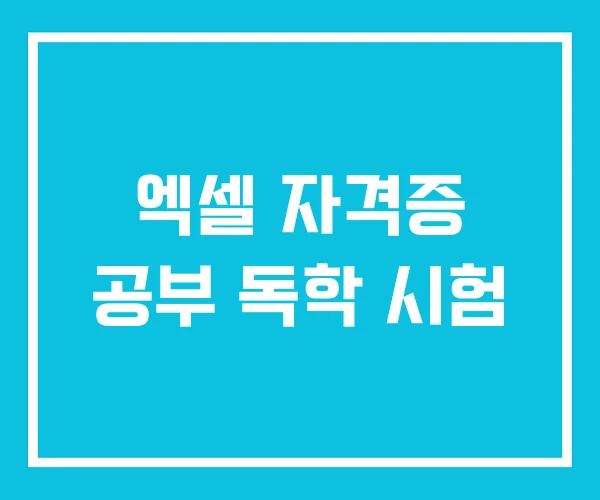 엑셀 자격증 공부 독학 시험