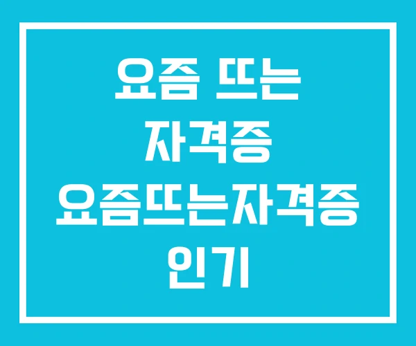 요즘 뜨는 자격증 요즘뜨는자격증 인기