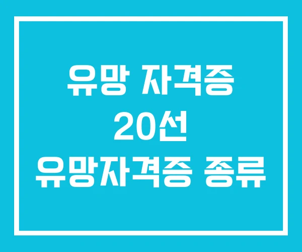 유망 자격증 20선 유망자격증 종류