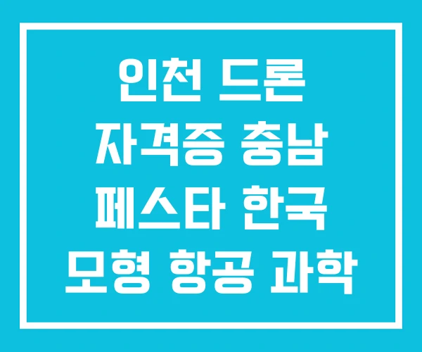 인천 드론 자격증 충남 페스타 한국 모형 항공 과학 협회