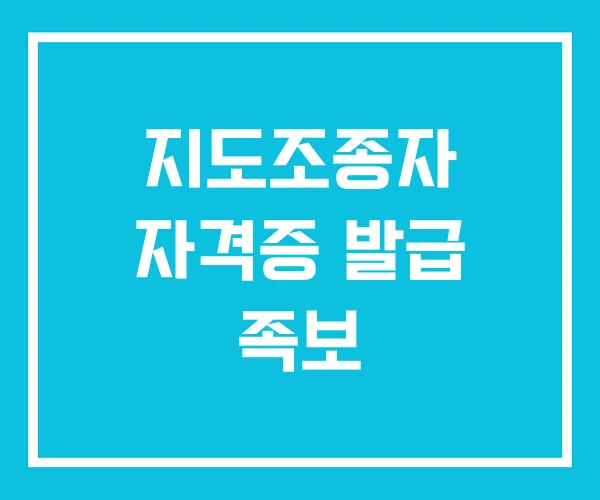 지도조종자 자격증 발급 족보