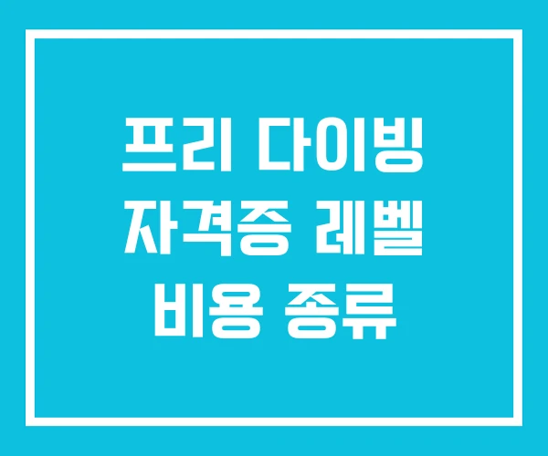 프리 다이빙 자격증 레벨 비용 종류