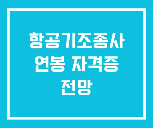 항공기조종사 연봉 자격증 전망