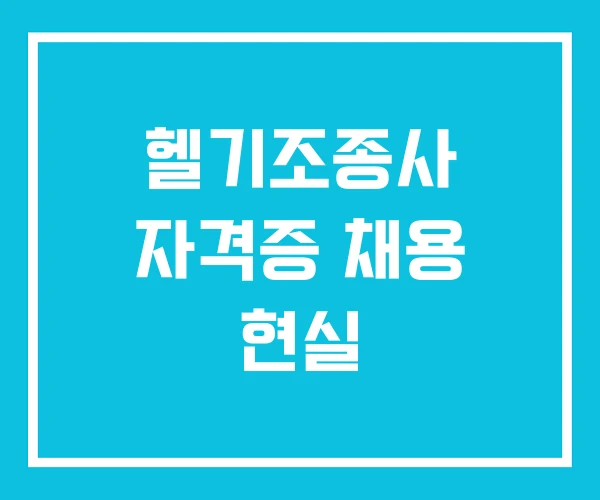 헬기조종사 자격증 채용 현실