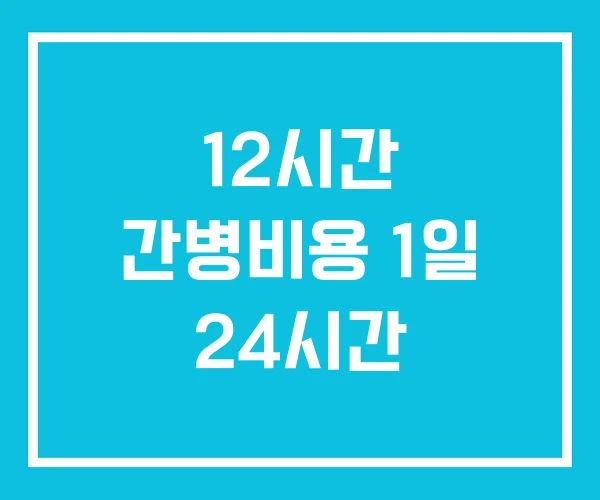 12시간 간병비용 1일 24시간