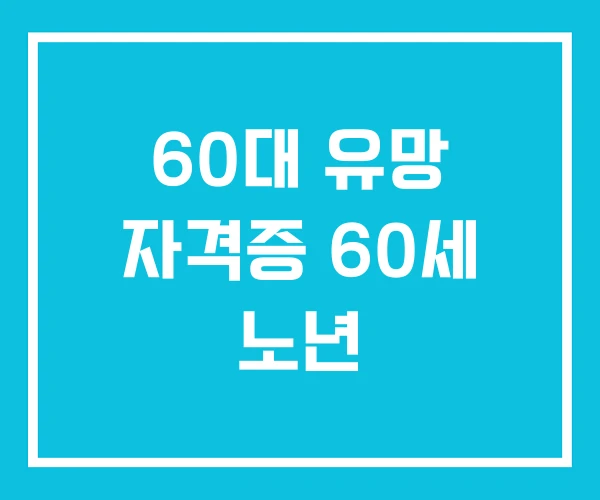 60대 유망 자격증 60세 노년