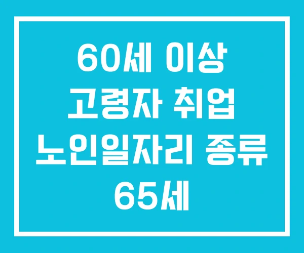 60세 이상 고령자 취업 노인일자리 종류 65세