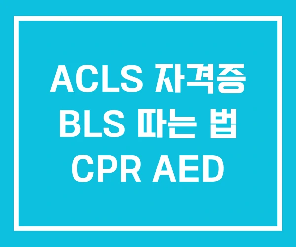ACLS 자격증 BLS 따는 법 CPR AED