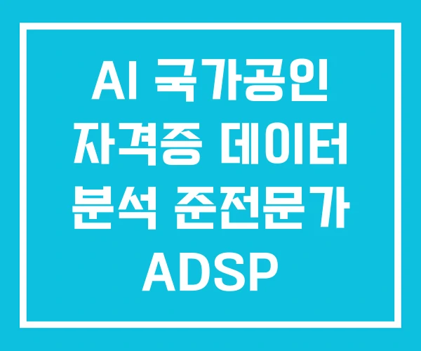 AI 국가공인 자격증 데이터 분석 준전문가 ADSP 민간자격증