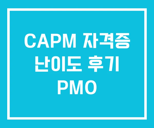 CAPM 자격증 난이도 후기 PMO