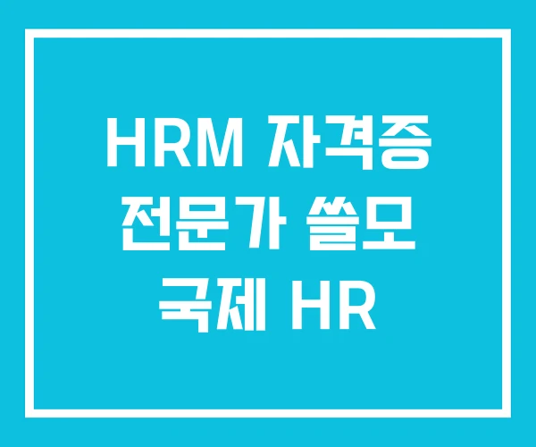 HRM 자격증 전문가 쓸모 국제 HR