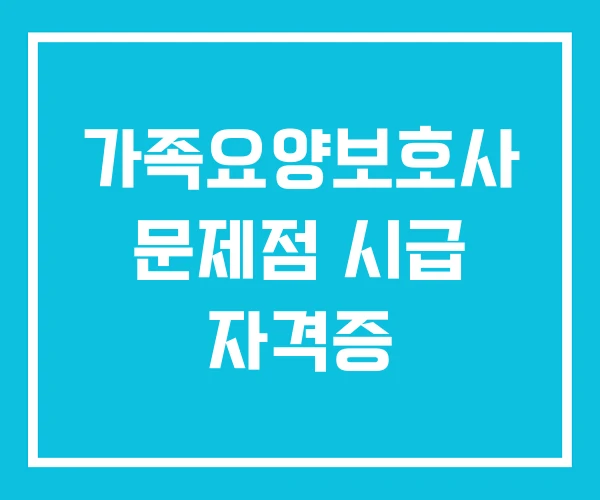 가족요양보호사 문제점 시급 자격증