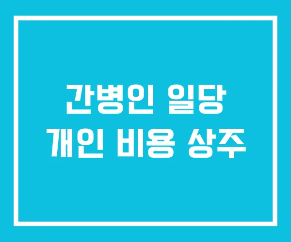 간병인 일당 개인 비용 상주