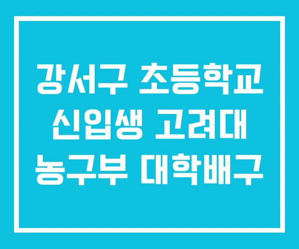 강서구 초등학교 신입생 고려대 농구부 대학배구