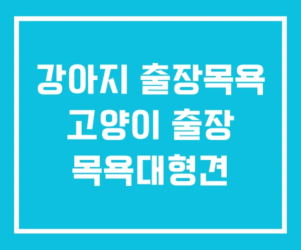 강아지 출장목욕 고양이 출장 목욕대형견