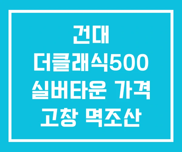 건대 더클래식500 실버타운 가격 고창 멱조산