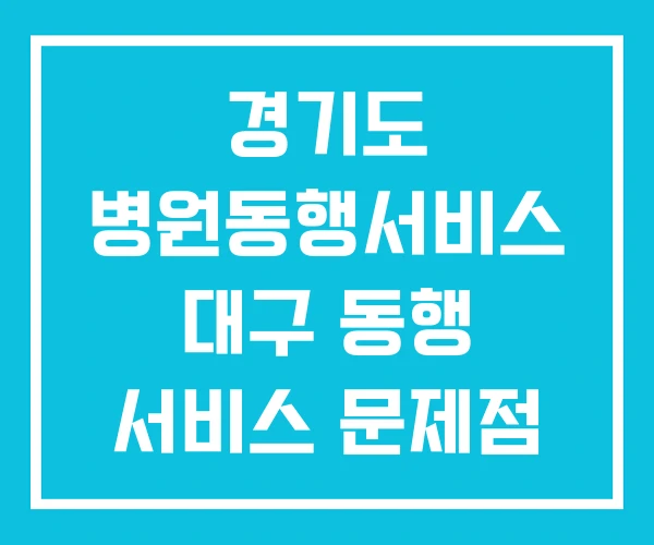 경기도 병원동행서비스 대구 동행 서비스 문제점