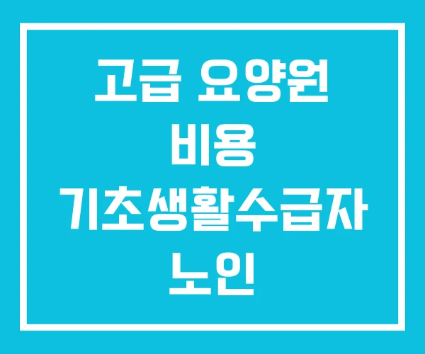 고급 요양원 비용 기초생활수급자 노인