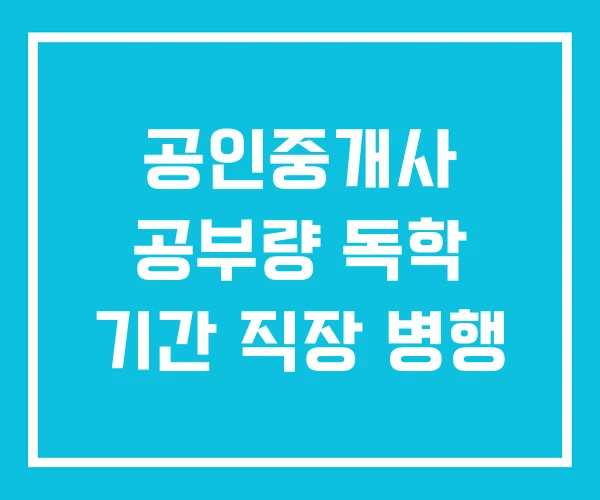 공인중개사 공부량 독학 기간 직장 병행