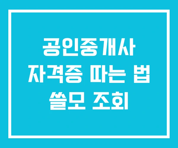 공인중개사 자격증 따는 법 쓸모 조회
