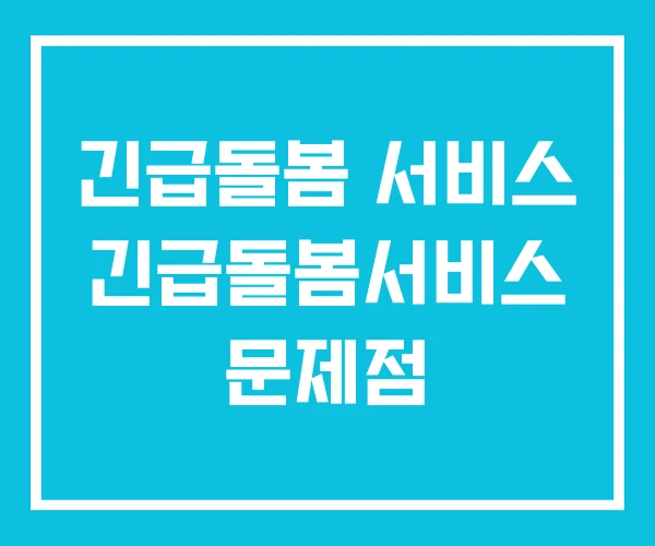 긴급돌봄 서비스 긴급돌봄서비스 문제점