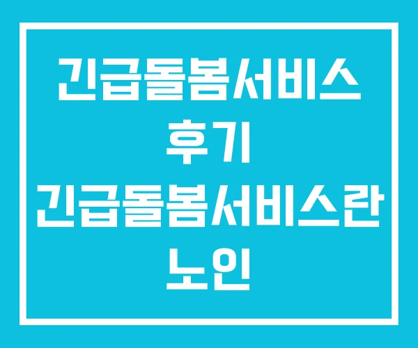 긴급돌봄서비스 후기 긴급돌봄서비스란 노인