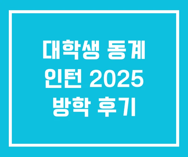 대학생 동계 인턴 2025 방학 후기