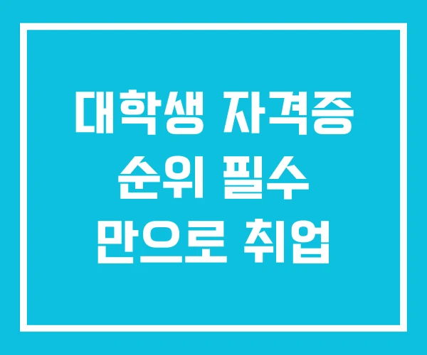 대학생 자격증 순위 필수 만으로 취업