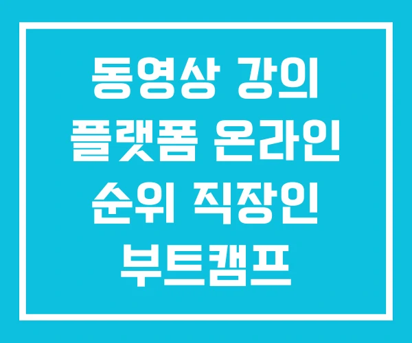 동영상 강의 플랫폼 온라인 순위 직장인 부트캠프