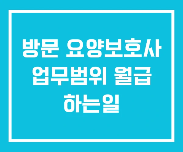 방문 요양보호사 업무범위 월급 하는일 방문 요양보호사 업무범위 월급 하는일