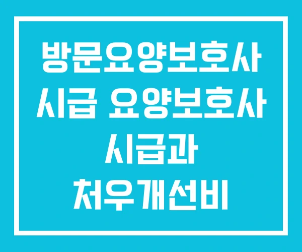 방문요양보호사 시급 요양보호사 시급과 처우개선비