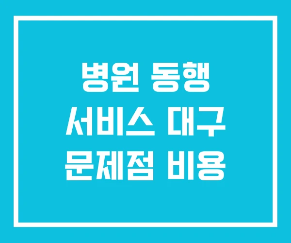 병원 동행 서비스 대구 문제점 비용