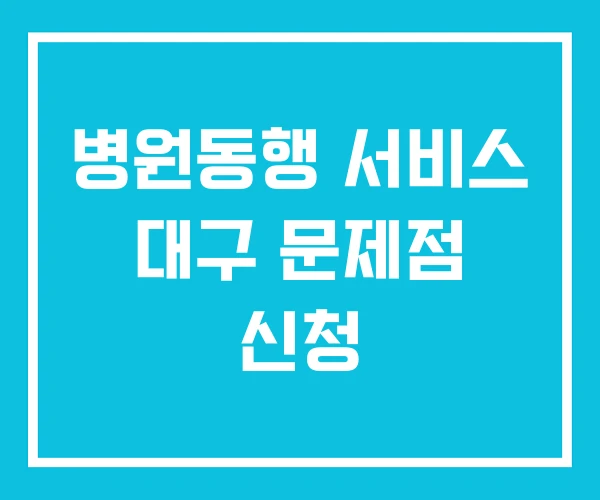 병원동행 서비스 대구 문제점 신청 병원동행 서비스 대구 문제점 신청