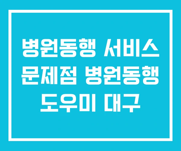 병원동행 서비스 문제점 병원동행 도우미 대구