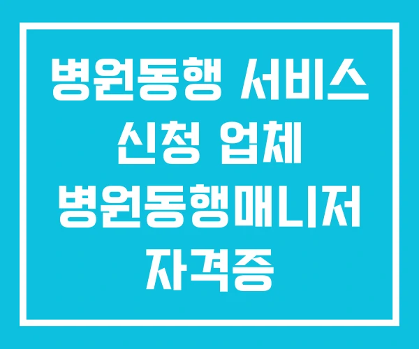 병원동행 서비스 신청 업체 병원동행매니저 자격증 병원동행 서비스 신청 업체 병원동행매니저 자격증