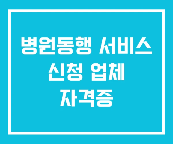 병원동행 서비스 신청 업체 자격증