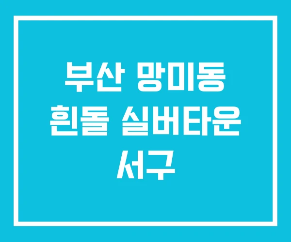 부산 망미동 흰돌 실버타운 서구