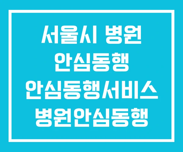 서울시 병원 안심동행 안심동행서비스 병원안심동행