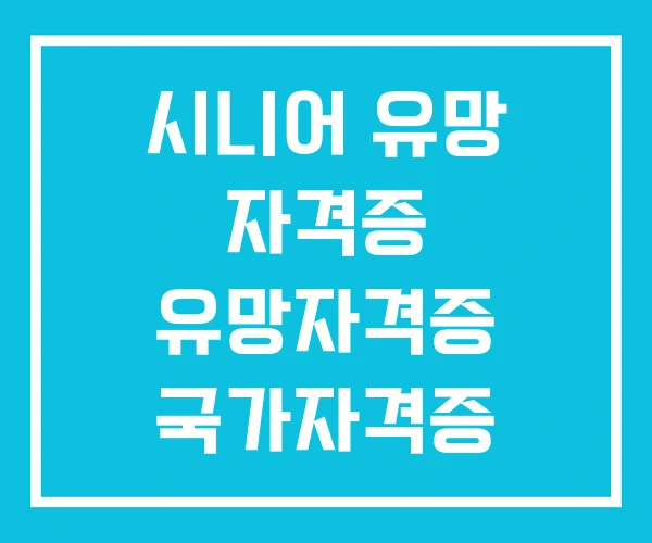 시니어 유망 자격증 유망자격증 국가자격증 시니어 유망 자격증 유망자격증 국가자격증