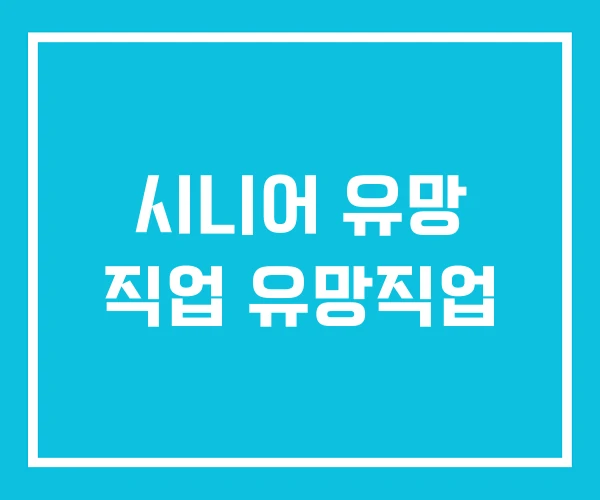 시니어 유망 직업 유망직업