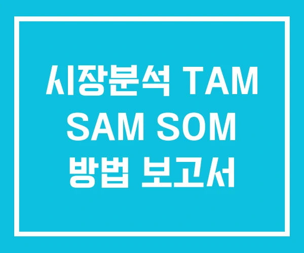 시장분석 TAM SAM SOM 방법 보고서 시장분석 TAM SAM SOM 방법 보고서