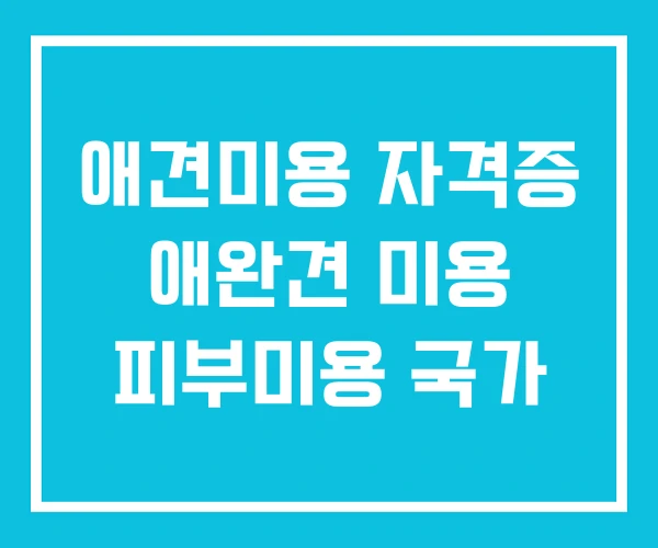 애견미용 자격증 애완견 미용 피부미용 국가
