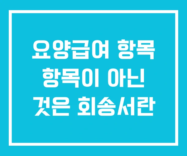 요양급여 항목 항목이 아닌 것은 회송서란