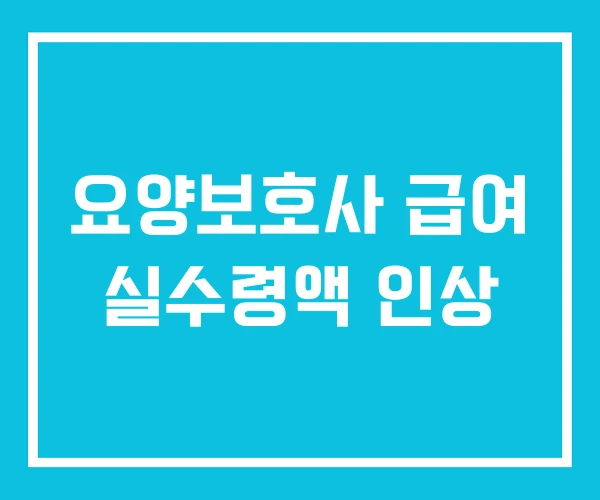 요양보호사 급여 실수령액 인상 요양보호사 급여 실수령액 인상
