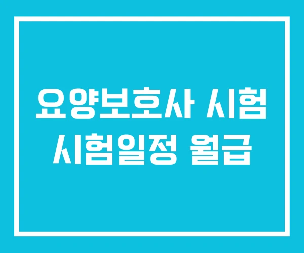 요양보호사 시험 시험일정 월급 요양보호사 시험 시험일정 월급